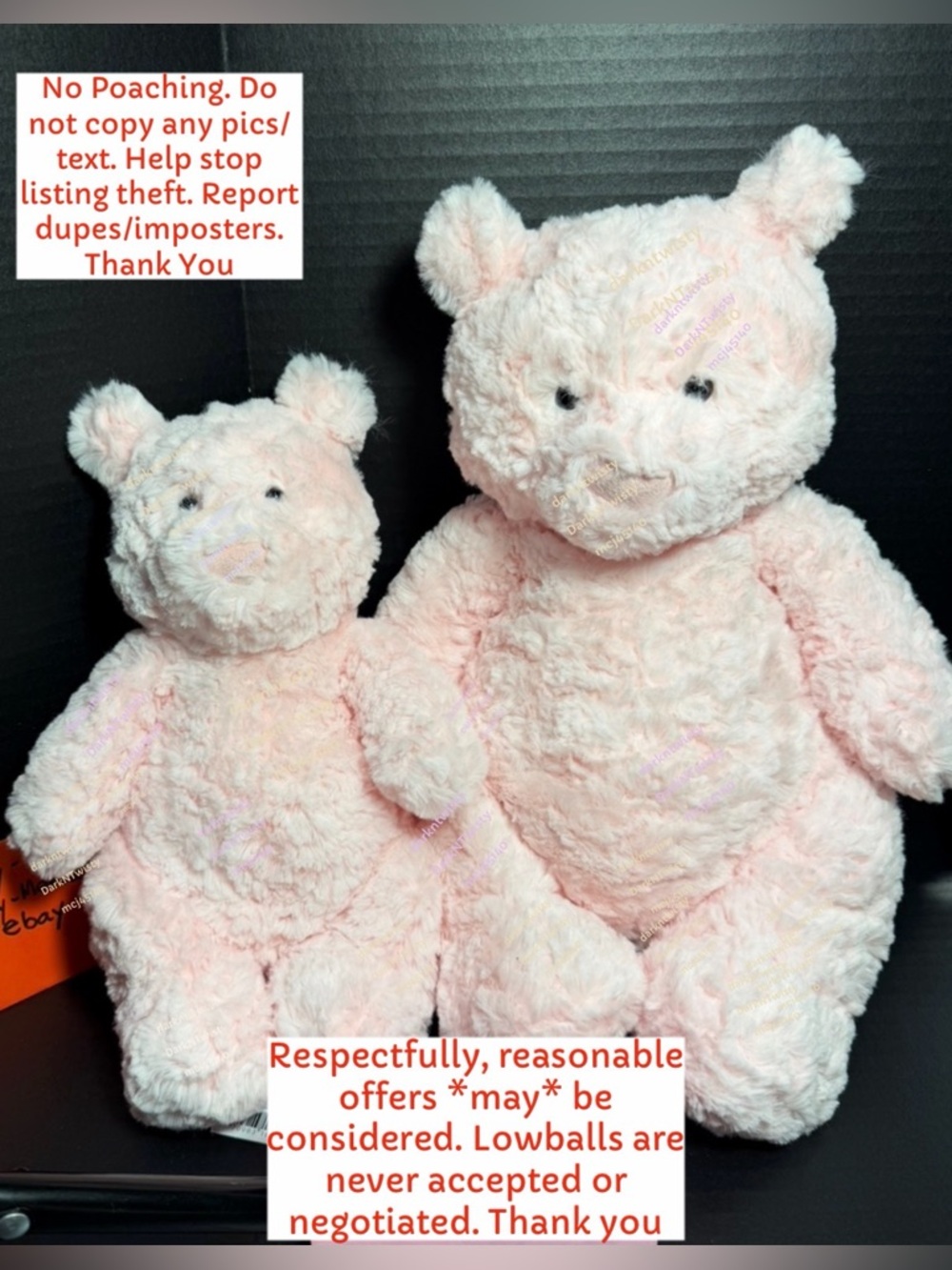 BNWT JELLYCAT LEOLA BEAR PAIR MEDIUM & LARGE SET AUTHENTIC SALES RECEIPT
